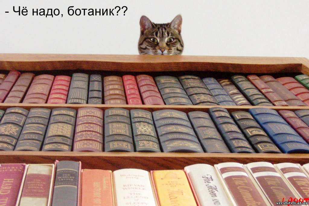 Себе маленькие шалости, чтобы не тянуло на большие глупости! Offline…